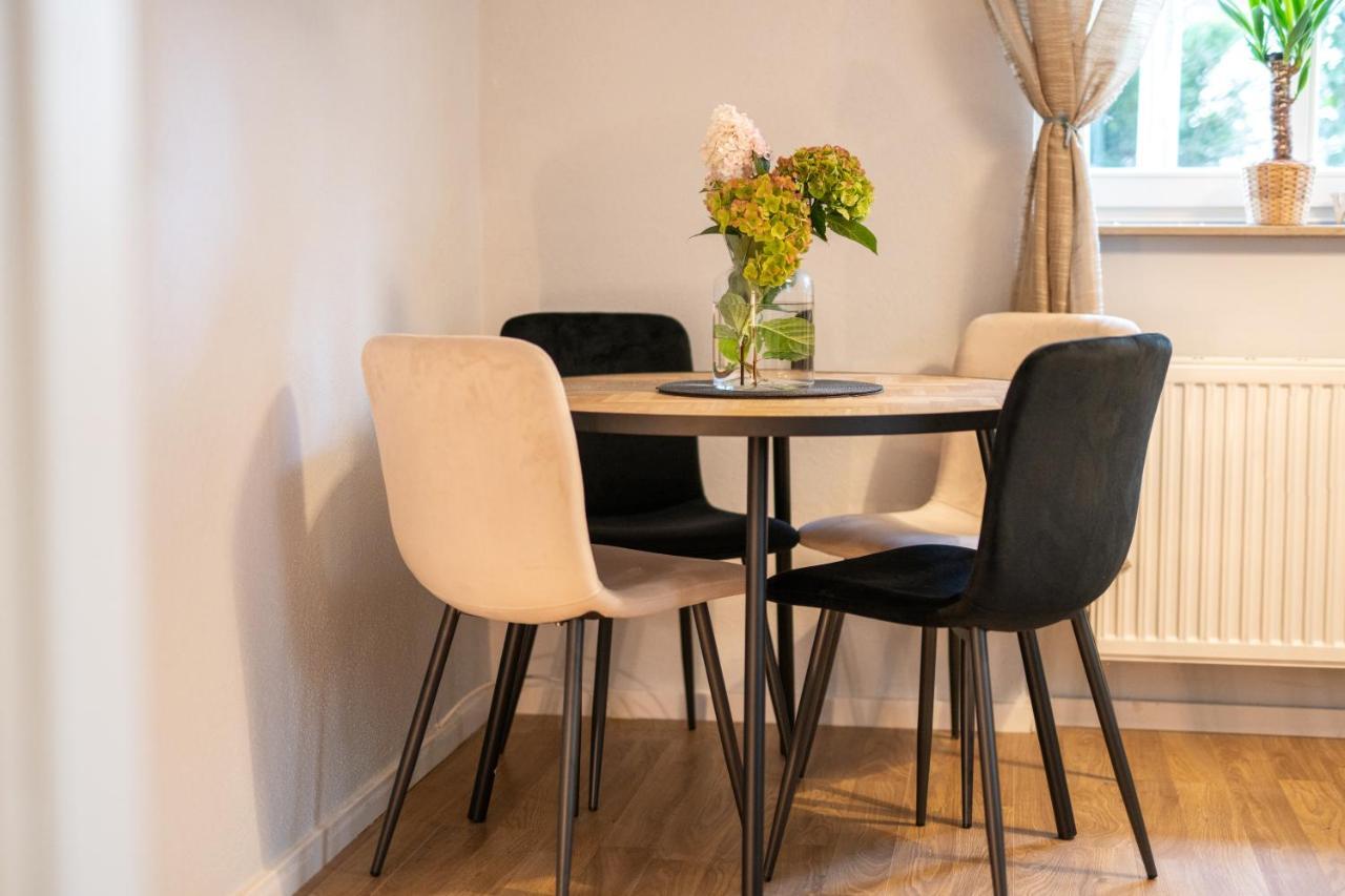 Toni Charming Apartment Im Idyllischem Villenviertel Mit Netflix Dresden Exterior photo