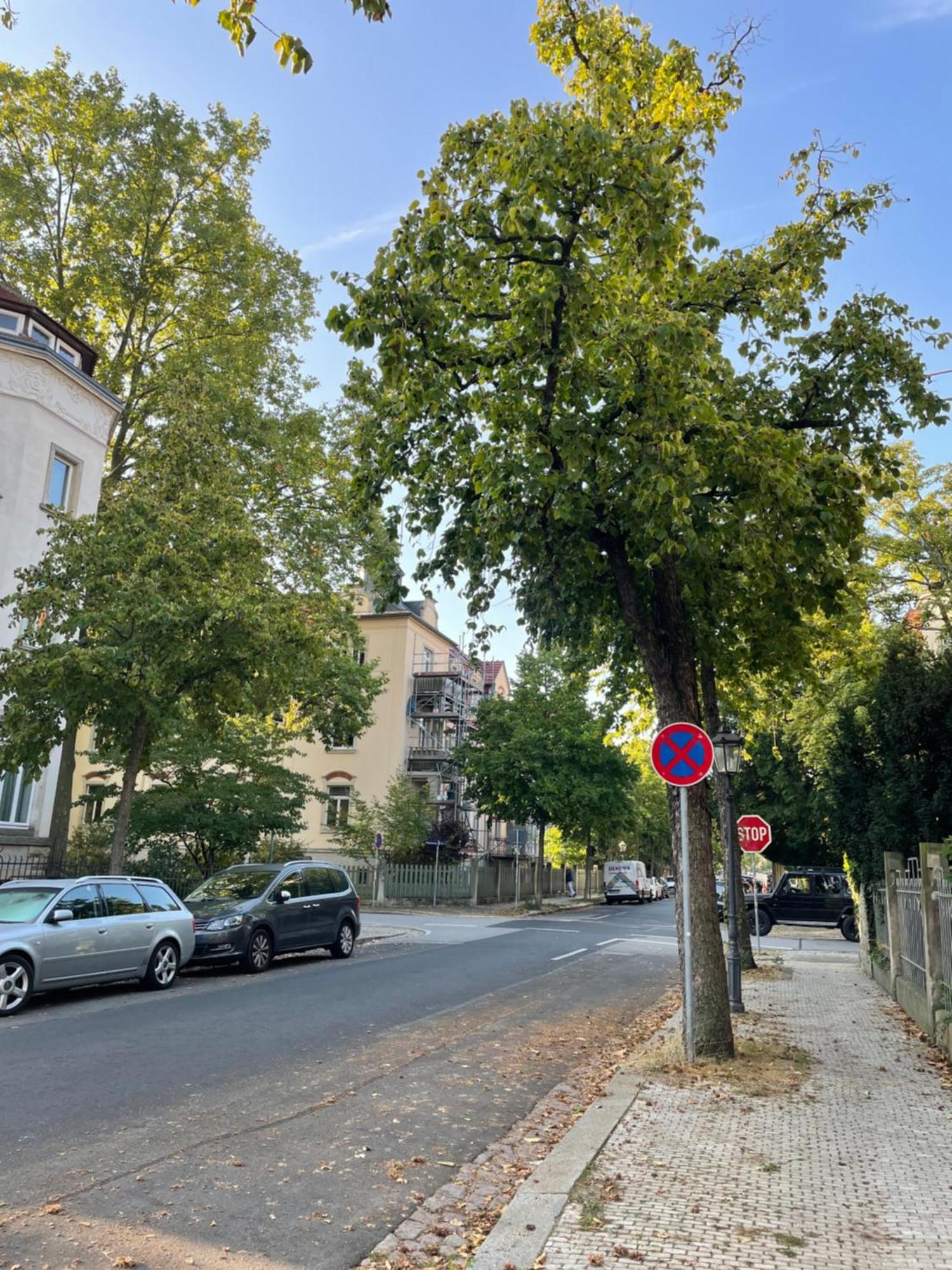 Toni Charming Apartment Im Idyllischem Villenviertel Mit Netflix Dresden Exterior photo